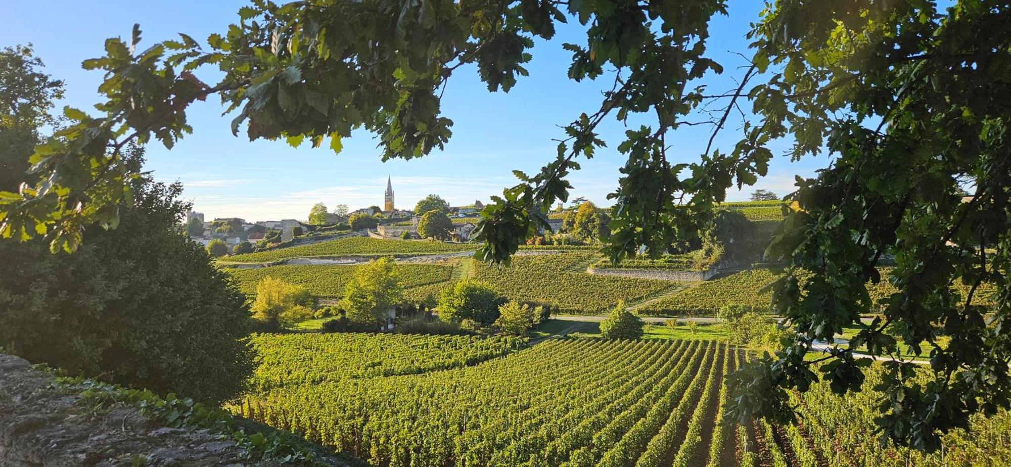 Gite Chateau Touzinat - Saint-Emilion Ngoại thất bức ảnh
